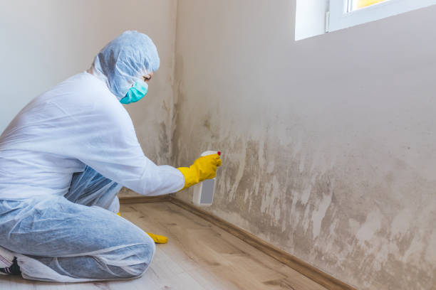 Hvac And Air Duct Mold Remediation inspection of HVAC system in Closter