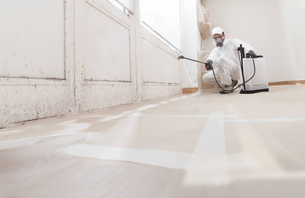 Black mold remediation team in Closter